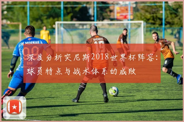 深度分析突尼斯2018世界杯阵容：球员特点与战术体系的成败