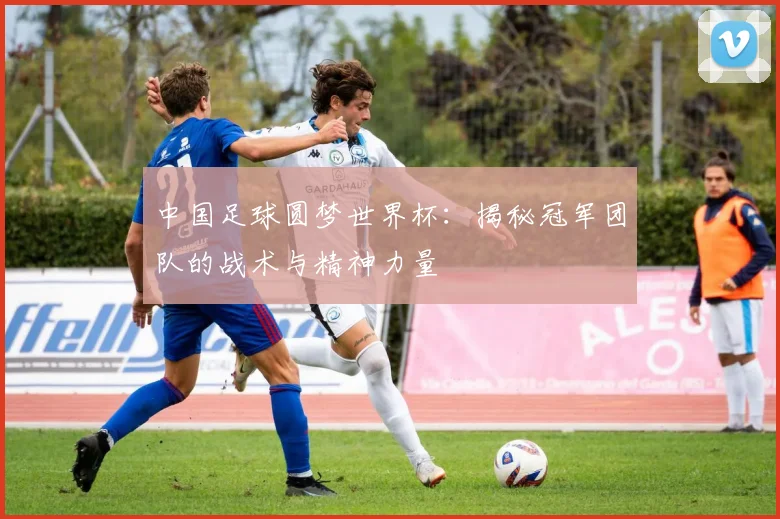 中国足球圆梦世界杯：揭秘冠军团队的战术与精神力量