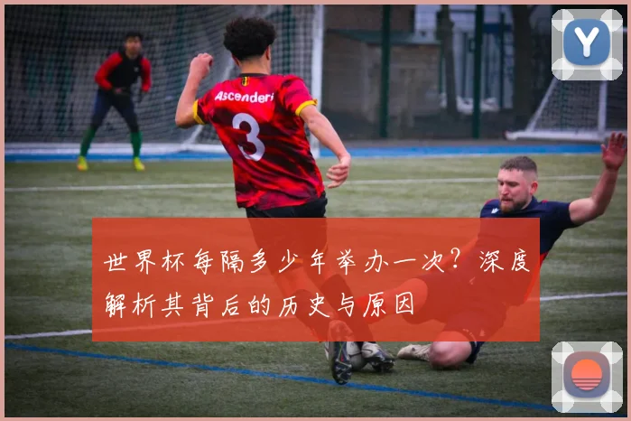 世界杯每隔多少年举办一次？深度解析其背后的历史与原因